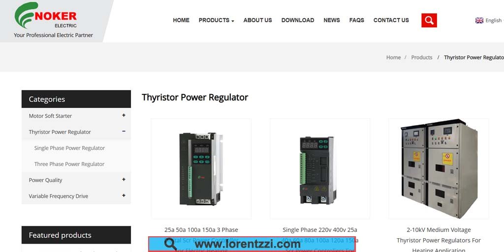 Noker Electric(Chinese thyristor power controller supplier)